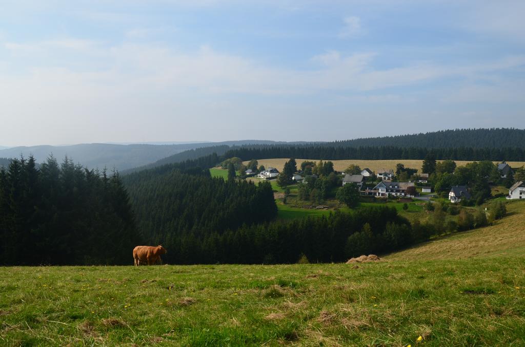 Berggasthof Zur Glocke Вінтерберг Екстер'єр фото